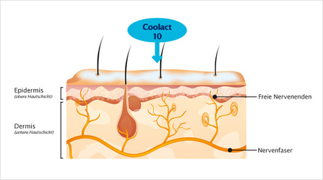 ... dem Inhaltsstoff Coolact 10. Das Auftragen des Balsams aktiviert sogenannte Kälteempfänger in der Haut – der Impuls wird über Nerven ins Gehirn weitergegeben, wo er die ...