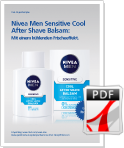 Nivea Projektfahrplan