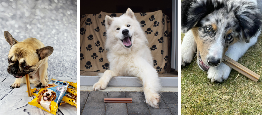 pedigree-dentastix-highlights