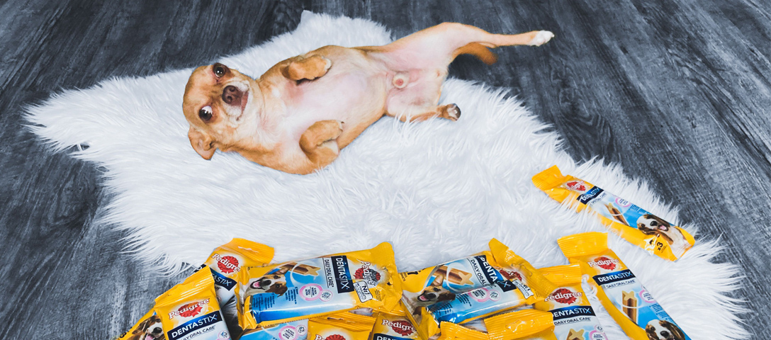 pedigree-dentastix-highlights