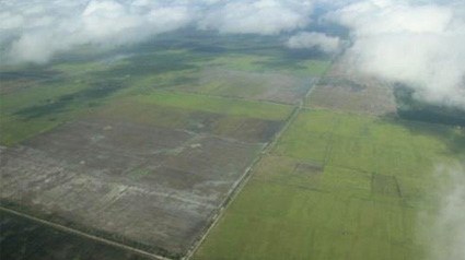 Auf einem privaten Grundstück der Plant-for-the-Planet Stiftung entsteht ein Mischwald.