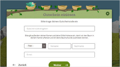 Ein Feld öffnet sich, in das Du Deinen Gutscheincode von der Schoko-Tafel eingeben kannst.