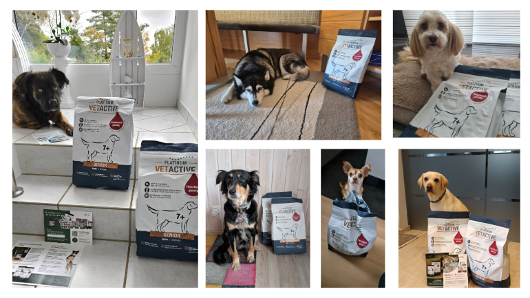 Erste Eindrücke mit der PLATINUM VETACTIVE Trockennahrung 
