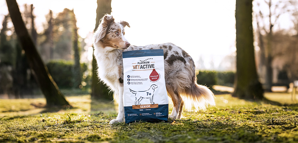 PLATINUM VETACTIVE