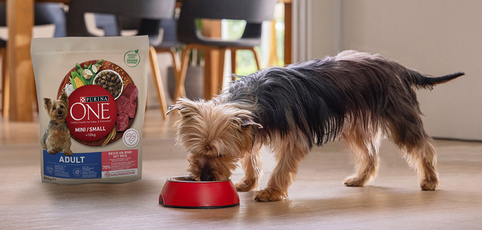 Purina ONE® MINI/SMALL
