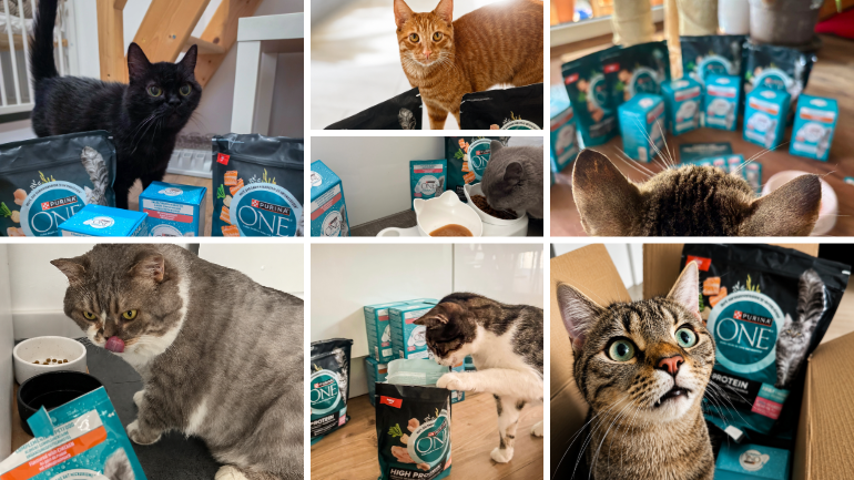PURINA