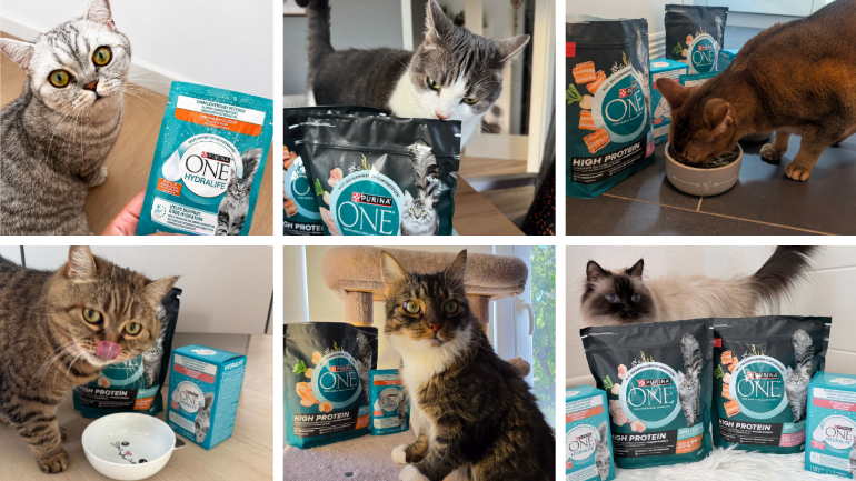PURINA