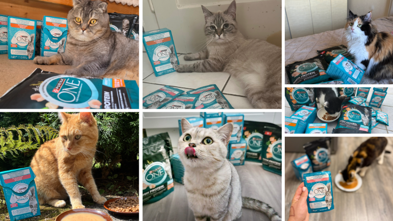 PURINA