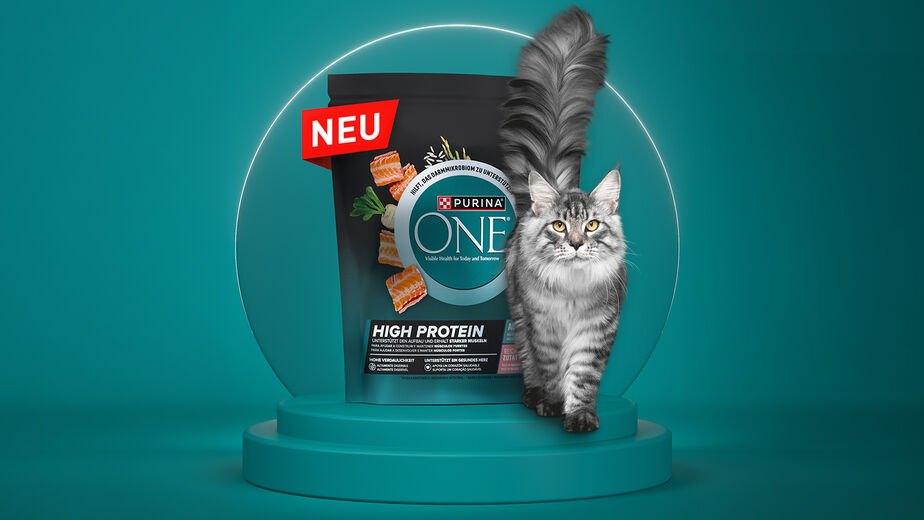 Purina One High Protein