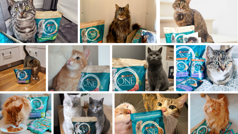 Euer Fazit zu PURINA ONE®