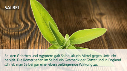 Bei den Griechen und Ägyptern...