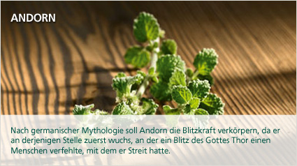 Nach einer germanischen Mythologie...