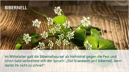 Im Mittelalter galt...