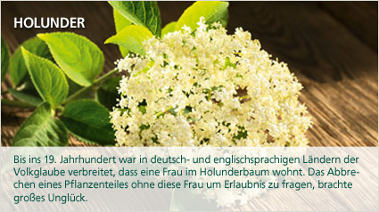 Bis ins 19. Jahrhundert war...