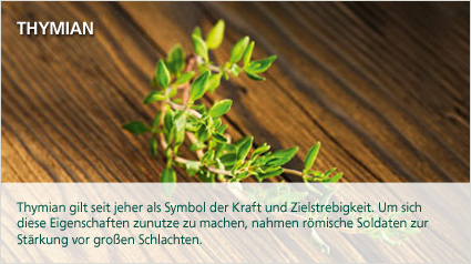 Thymian gilt seit jeher...