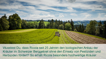 Ricola fördert seit 25 Jahren den biologischen Anbau der Kräuter.