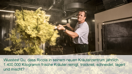 Das Kräuterzentrum verarbeitet jährlich 1,4 Millionen Kilogramm Kräuter.