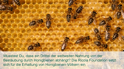 Die Ricola Foundation setzt sich für die Erhaltung von Honigbienen-Völkern ein.