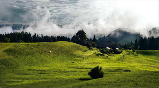 Wie alle Ricola Kräuterbonbons stammen auch die 13 Kräuter in Ricola EXTRA STARK aus der Schweizer Bergwelt.