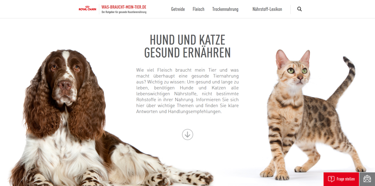 Gesunde Haustierernährung