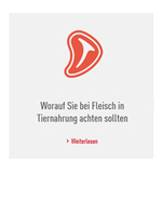 Fakten zu Fleisch in Tiernahrung