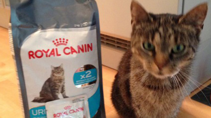 Vielen Dank unseren lieben ROYAL CANIN Urinary Care Testern.