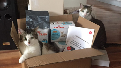 Vielen Dank unseren lieben ROYAL CANIN Urinary Care Testern.