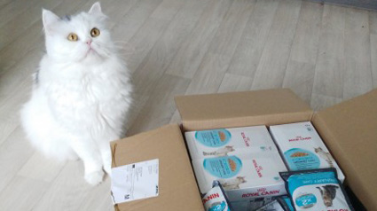 Vielen Dank unseren lieben ROYAL CANIN Urinary Care Testern.