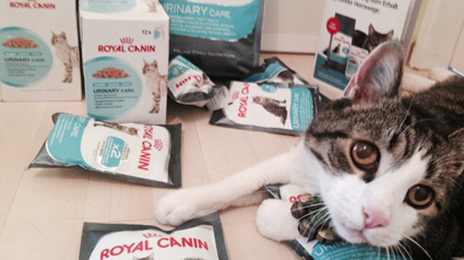 Vielen Dank unseren lieben ROYAL CANIN Urinary Care Testern.