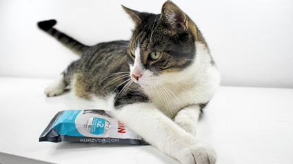 Vielen Dank unseren lieben ROYAL CANIN Urinary Care Testern.