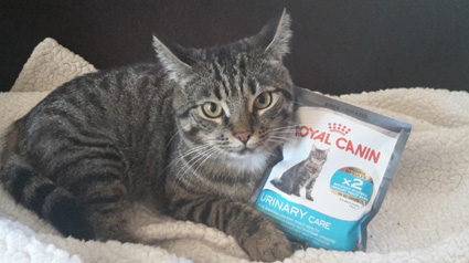 Vielen Dank unseren lieben ROYAL CANIN Urinary Care Testern.