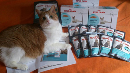 Vielen Dank unseren lieben ROYAL CANIN Urinary Care Testern.