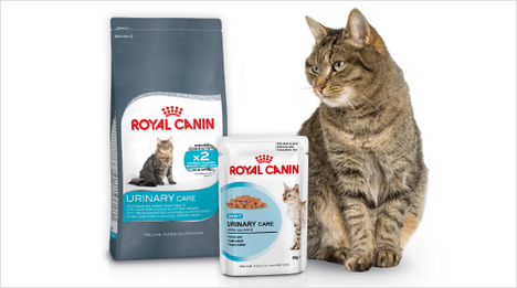 Die Urinary Care Nahrung hat ROYAL CANIN speziell zur Unterstützung gesunder Harnwege entwickelt. Sie ist für jede Katze ab einem Alter von 12 Monaten geeignet. 