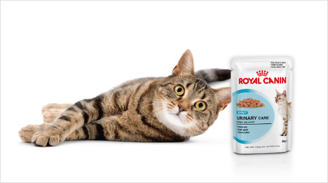 …kleinen Stückchen in Soße ist das die optimale Ernährung, um die Harnweggesundheit aller ausgewachsenen Katzen zu unterstützen.