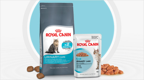  Im Mittelpunkt unseres trnd-Projekts stehen diese Produkte von ROYAL CANIN: Die Urinary Care Trockennahrung und kleine Stückchen in Soße. 