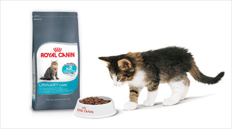 Urinary Care Trockennahrung hilft, den Mineralstoffgehalt im Urin zu regulieren. In Kombination mit den…