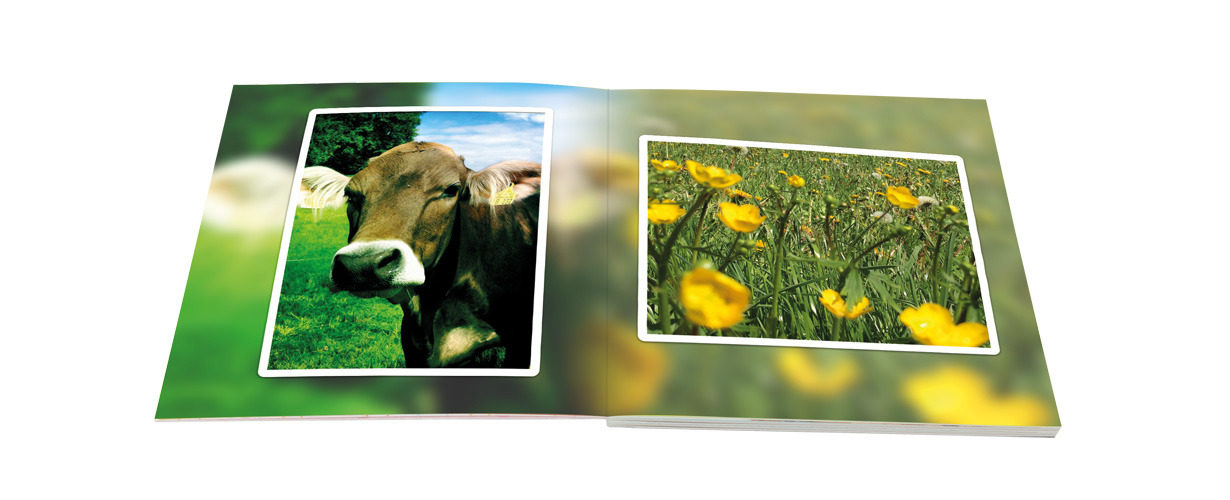 Gleichzeitig bietet es gewohnte FotoPremio Qualität mit hoher Farbbrillanz und Detailtiefe, da es auf Marken-Fotopapier belichtet statt gedruckt wird. 