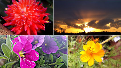 Farbenprächtige Fotos.