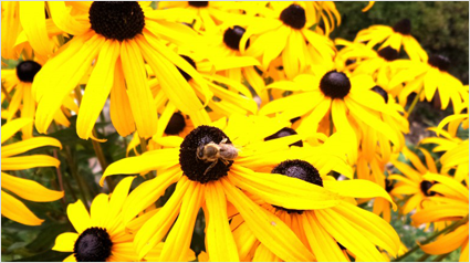 Schöne Fotos geknipst mit der GALAXY K zoom.