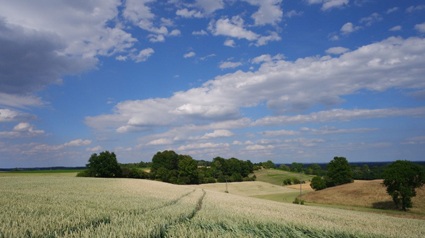 Eine kleine Auswahl an Smart Modi Bildern können wir uns hier anschauen: