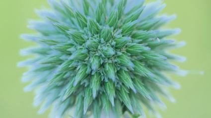 Eine kleine Auswahl an Smart Modi Bildern können wir uns hier anschauen: