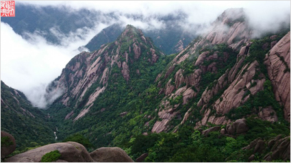 Welches Foto aus dem Smart Camera Projekt ist Euer Favorit?