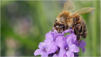 Welches Foto aus dem Smart Camera Projekt ist Euer Favorit?