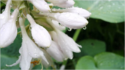 Welches Foto aus dem Smart Camera Projekt ist Euer Favorit?