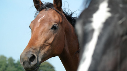 Welches Foto aus dem Smart Camera Projekt ist Euer Favorit?