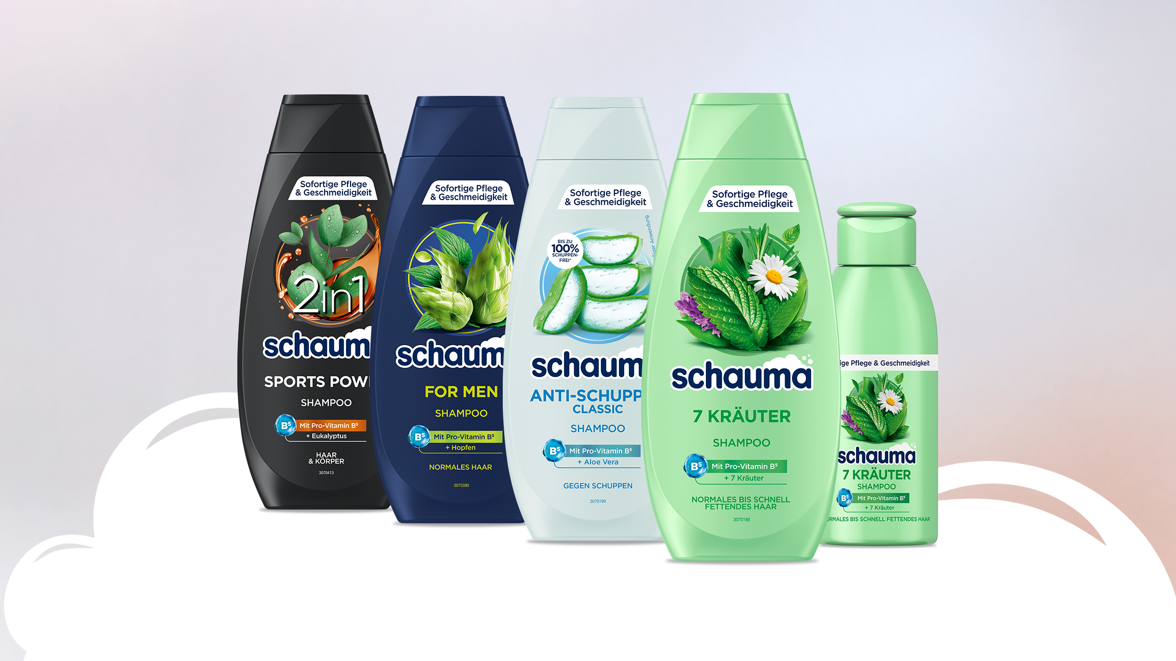 mücken aloe vera Tipps zur Pflege deiner Pflanze : Aloe Vera – PflanzenFuerAlle main image 0