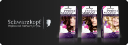 Blog Schwarzkopf Perfect Mousse Haarcoloration