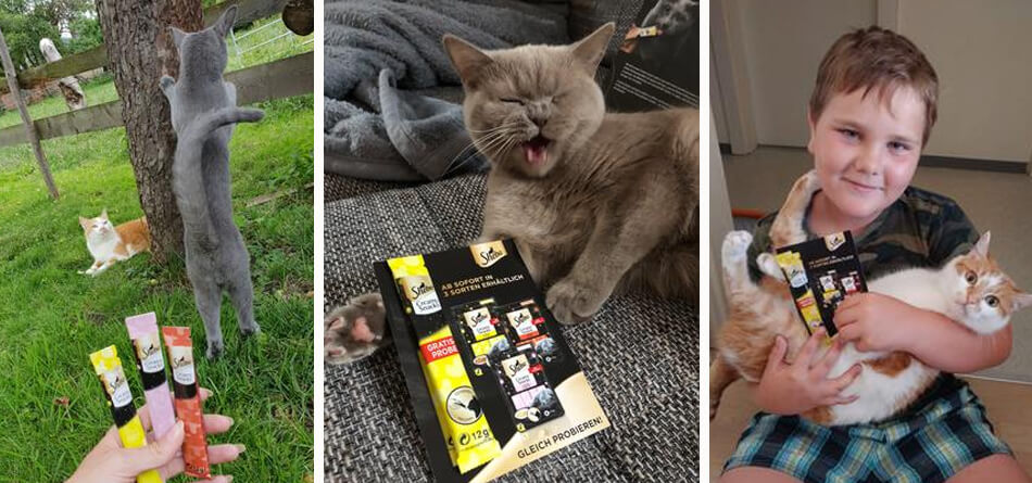 - die Sheba Creamy Snacks verwöhnen unsere Stubentiger und schaffen Nähe.