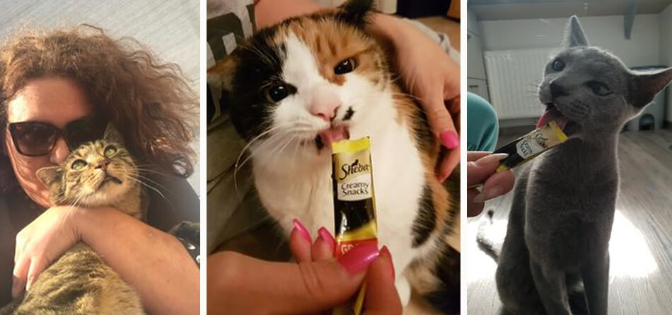 Sheba Creamy Snacks: Tipps für schöne Zeit zu zweit.