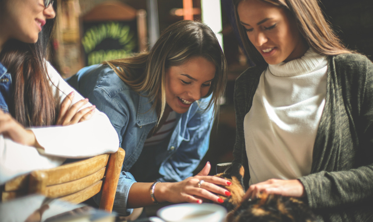 2.000 trnd-Partner probieren die drei Sorten der Snacks mit ihren Katzen aus und teilen ihre Erfahrungen mit Katzenfreunden aus ihrem Umfeld sowie allen Interessierten im Internet.